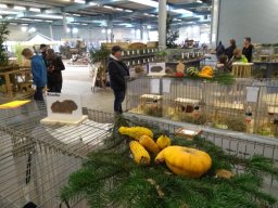 IMG_20181117_123249310